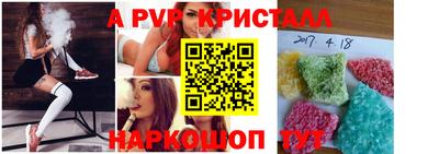 крисы Новокубанск