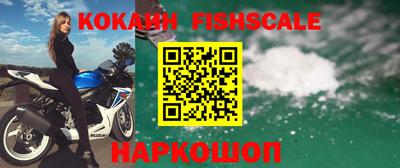 крисы Новокубанск