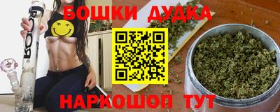 крисы Новокубанск
