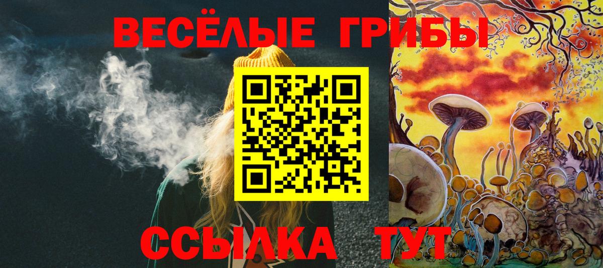 сколько стоит  Псилоцибиновые грибы мухоморы  Вход с VPN  Старая Купавна 